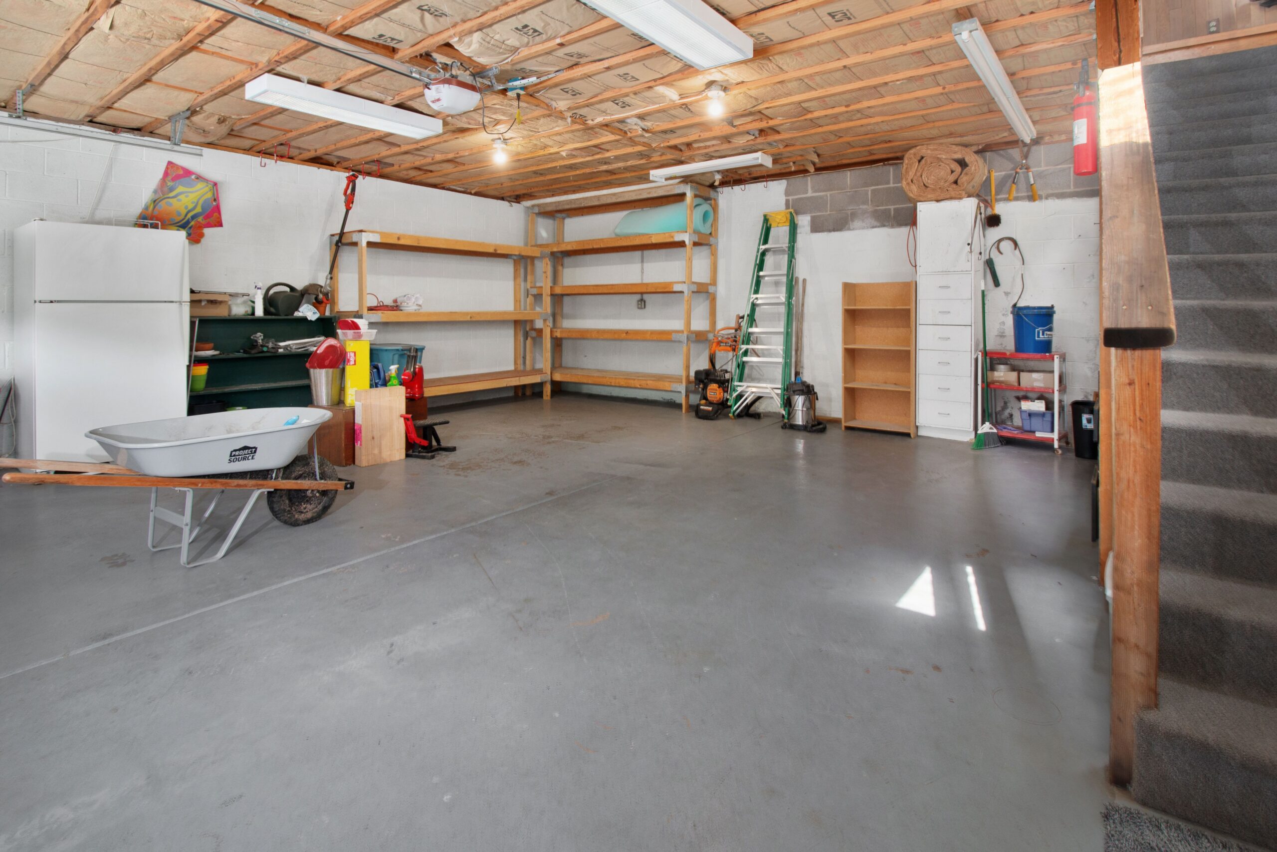 Basement Cleanout Guide